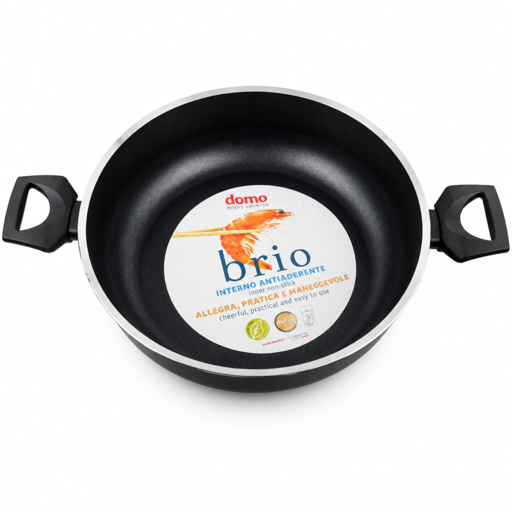TEGAME 2/MANICO DOMO BRIO 24 CM